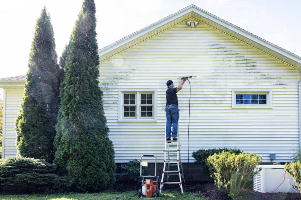 Trusted Red Lick, TX Pressure Washing Experts